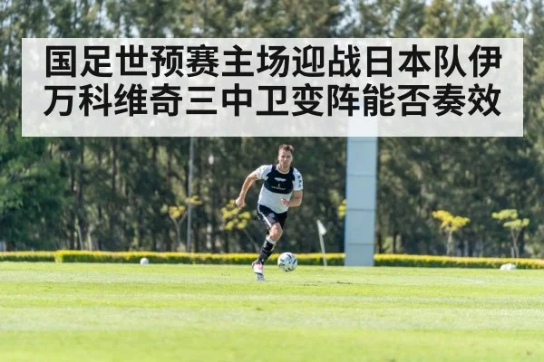 国足世预赛主场迎战日本队伊万科维奇三中卫变阵能否奏效